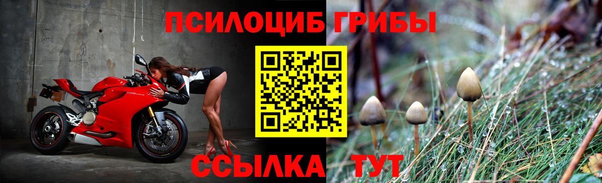 Галлюциногенные грибы ЛСД Магадан