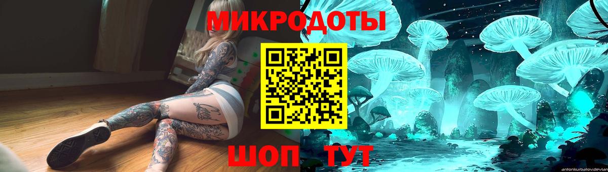 Псилоцибиновые грибы MAGIC MUSHROOMS  Вход с VPN  Магадан  Галлюциногенные грибы Cubensis 